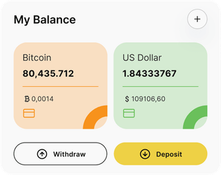Zylkenix Primo automated trading solution — dashboard overview